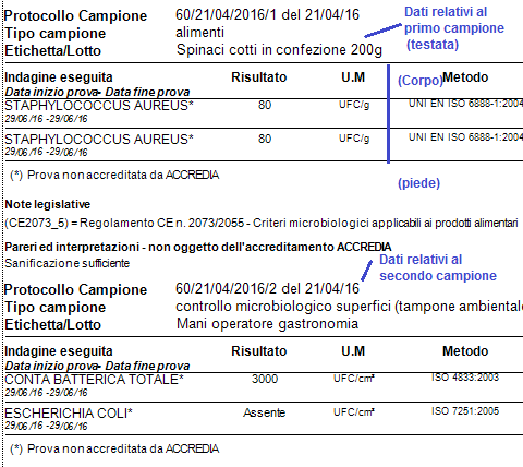 Esempio di rapporto di laboratorio universitario